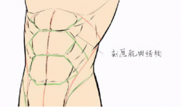 漫画腹肌,漫画中的健身奥秘